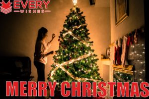 MERRY CHRISTMAS WISHES