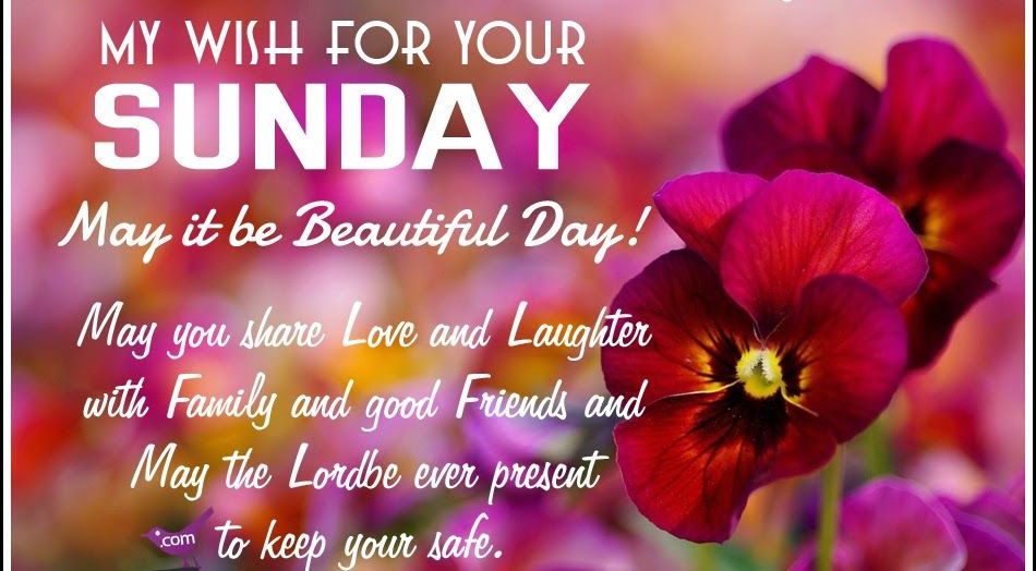 Top 25 Sunday Quotes #Sunday #quotes