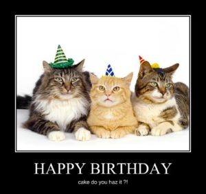 Cat Memes – Happy Birthday Cat Memes – Funny Cat Memes & Pictures – EveryWishes: Free Wishes, Greeting cards, Holiday, Birthday Wishes