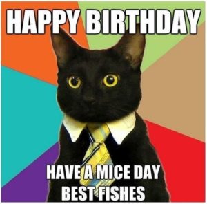 Funny Animal Birthday Memes – Animal Happy Birthday Memes Jokes –  EveryWishes: Free Wishes, Greeting cards, Holiday, Birthday Wishes